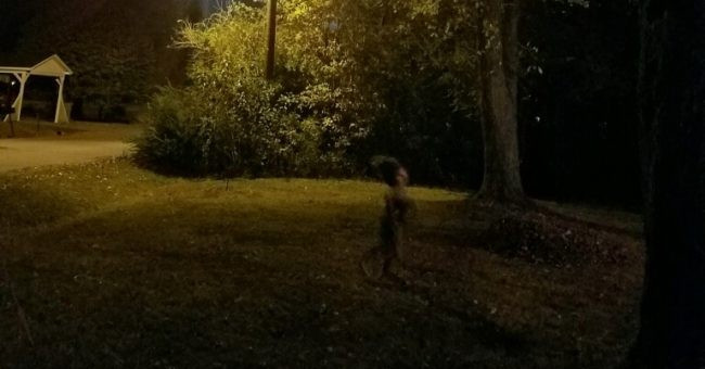 Mysterious creatures appear full moon night, making the fire network of the fire