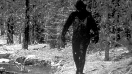 Mysterious creatures half human and half monkey