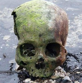 Mysterious decoding of children's skulls scattered around the lake in Switzerland