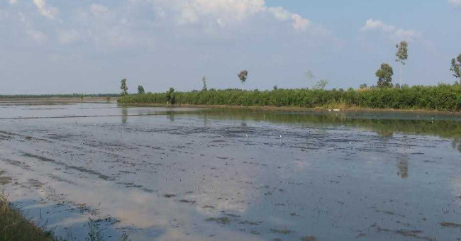 Mysterious fields full of gold made thousands of people rushing to fight in the West