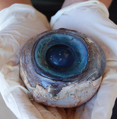 Mysterious giant eyeball falls on the coast