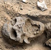 Mysterious giant skulls in the Death Valley