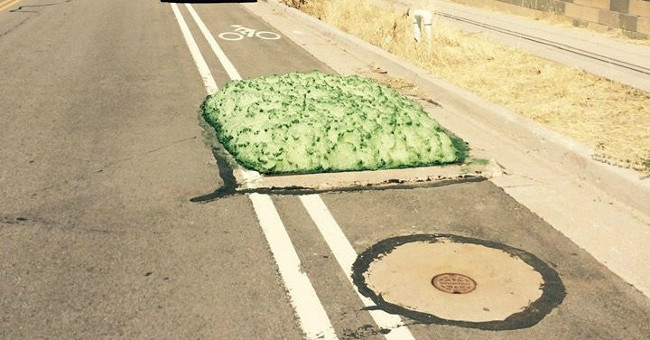 Mysterious green foam extruded from the American sewer cap