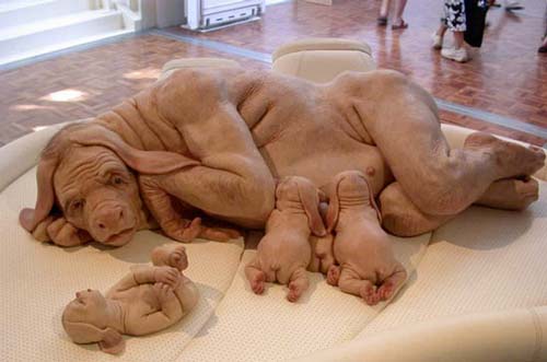 Mysterious hybrid animals between humans and dogs: Deception!