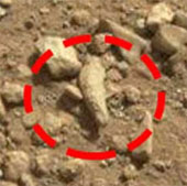 Mysterious images on Mars