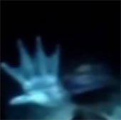 Mysterious mermaid in the Greenland Sea?