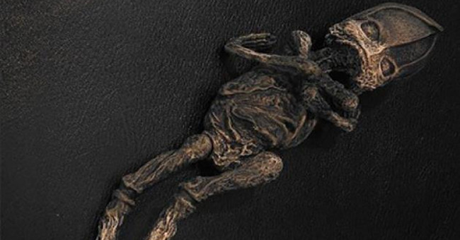Mysterious mummy suspected of belonging to aliens in Russia