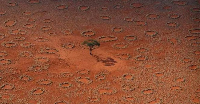 Mysterious perpetrator creates 'fairy circle'