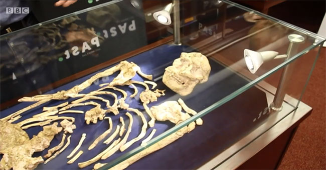 Mysterious remains of women belong to another human species