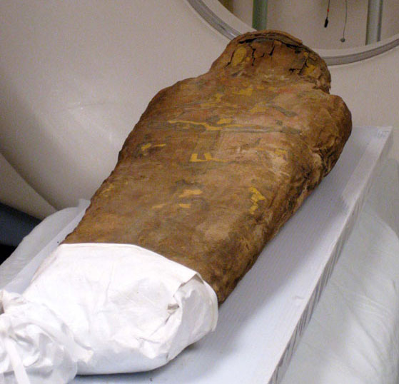 Mysterious sex of 2000 year old mummy
