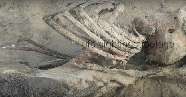 Mysterious skeleton of the alien planet washed up on the English coast