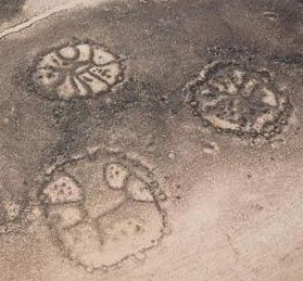 Mysterious wheel drawings in the Middle East