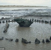 Mysterious wooden rings on the coast