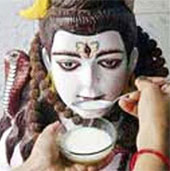 Mysteriously gods know how to drink milk