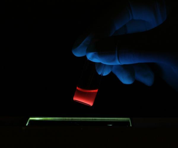 Nano 'cargo ship' searches and destroys tumors