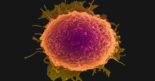 Nano disks can kill cancer cells