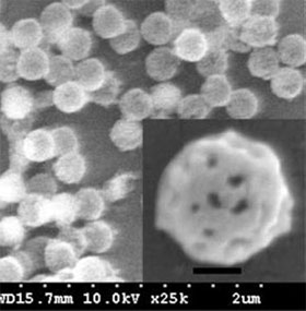 Nano material and rose petals