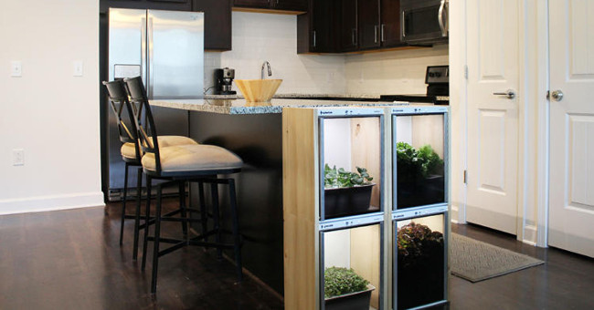 Nanofarm - Automatic indoor tree planting system