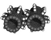 Nanotubes are as harmful as asbestos