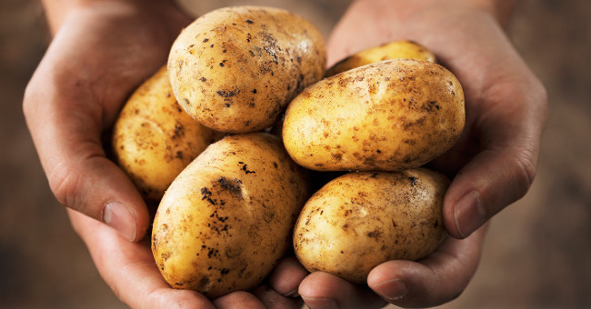 NASA cooperates with Peru to implement a potato planting project in the Mars environment