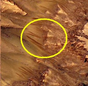 NASA extraordinary meeting, can announce life proof on Mars