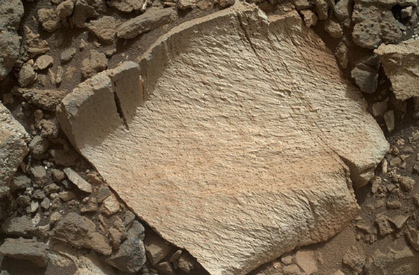 NASA found the slab that could possibly contain life on Mars