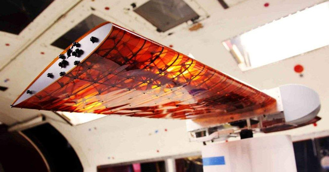 NASA makes new wings to help lighten the plane as birds