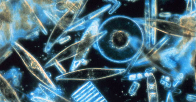 NASA space station uses Laser ocean exploration