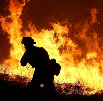 NASA uses 200 satellites to detect forest fires in 2018