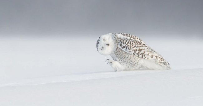 National Geographic top 20 Photo of The Day 2015