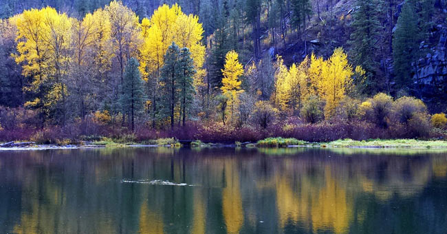 Natural beauty of four seasons in Washington state