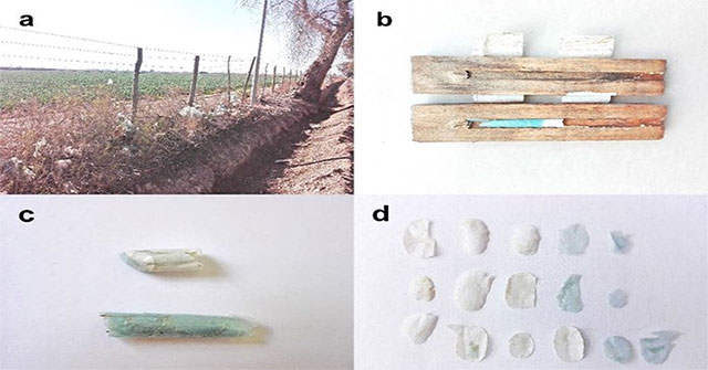 Natural bees build nests from ... plastic waste
