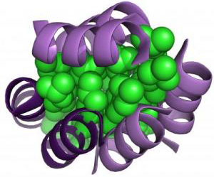 Natural choice when making proteins?