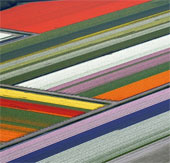 Natural landscapes are colorful