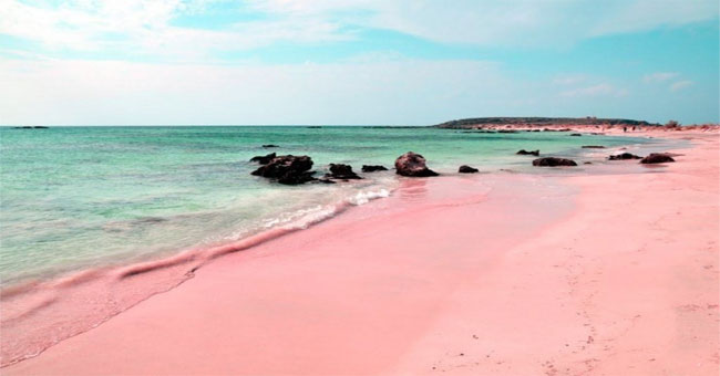 Natural pink sand coast in Bahamas