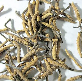 'Natural Viagra' is about to run out
