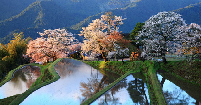 Nature photos are colorful in the world