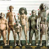 Neanderthal's persistent revenge