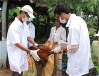 Nearly VND 7,000 billion for emergency action plan