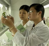 Need to start the application soon with biological plants