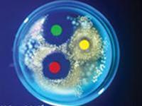 Need to use reasonable antibiotics