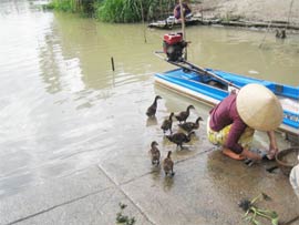 Netherlands-Vietnam implemented sustainable water exploitation program