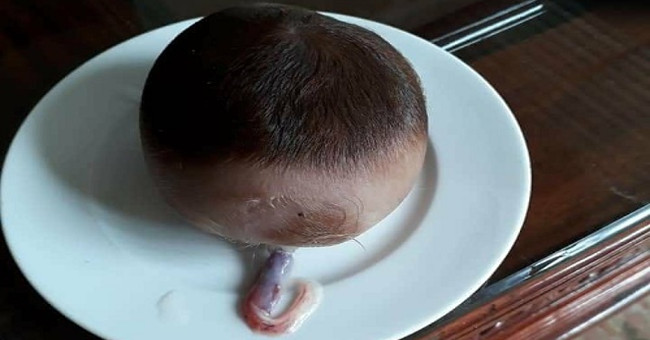 Netizens stir up the calves of the coconut skull in Thanh Hoa