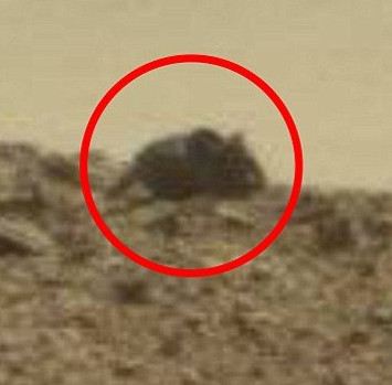 Netizens talk about the giant mouse on Mars