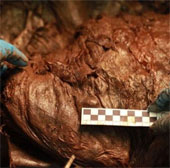 New achievements in the process of cloning prehistoric mammoths