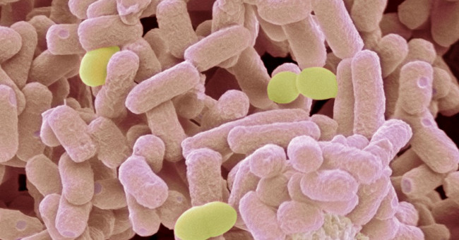 New antibiotic resistance