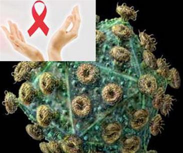 New anti-HIV drug from algae