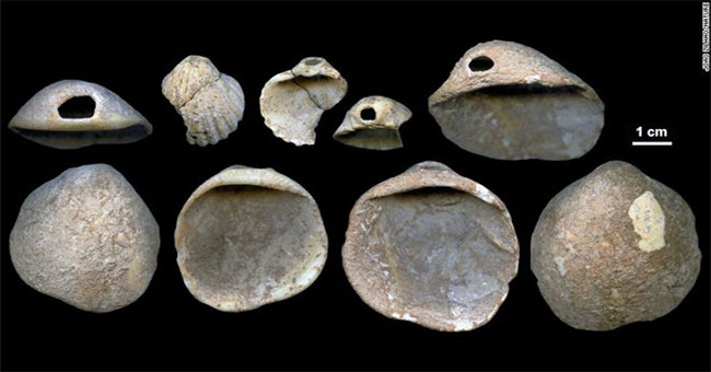 New archaeological findings in North Africa may