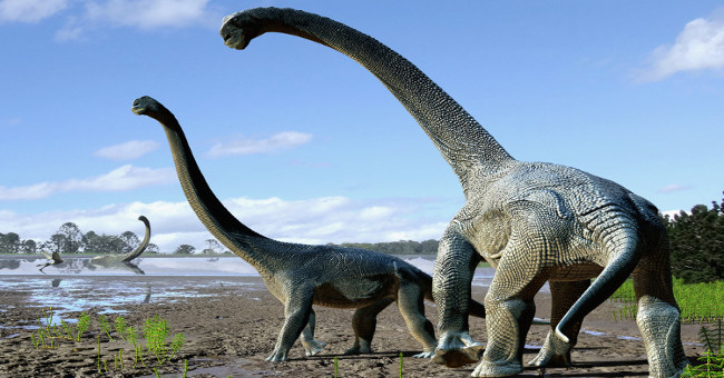 New Australian herbivorous dinosaurs found 15 meters long and weighed nearly 20 tons