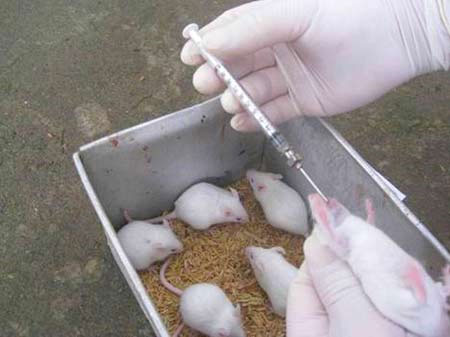New bandages help the wound heal
